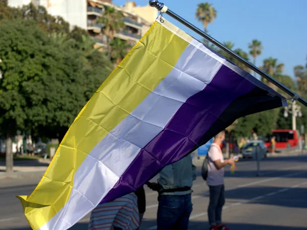Bandeira da comunidade não-binária