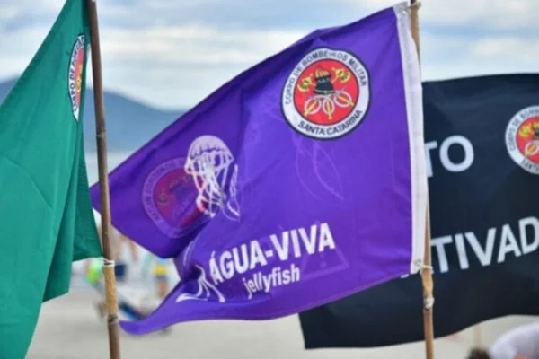 Bandeira lilás indica local com água-viva nas praias