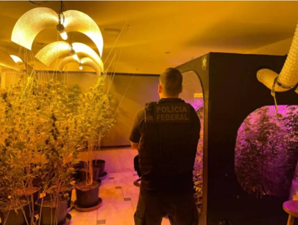 Policial federal apreendendo maconha