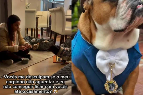 Cão homenageia cadela falecida em casamento