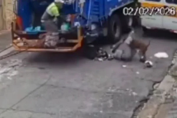 Imagem colorida mostra ataque de pit-bull a coletores de lixo