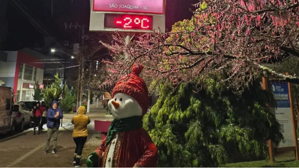 Foto colorida de termômetro marcando temperatura negativa em Santa Catarina