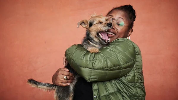 Pensando em adotar um pet pela 1ª vez? Veja dicas de uma veterinária