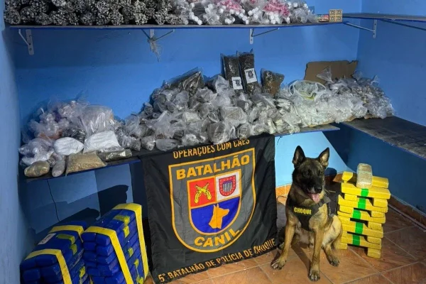 Imagem colorida mostra o cão da raça pastor belga malinois chamado Machi ao lado das drogas que ajudou a encontrar em uma comunidade na zona oeste de São Paulo - Metrópoles