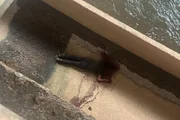 Homem caído no leito do Ribeirão Arrudas no Centro de BH gritou por socorro Homem caído no leito do Ribeirão Arrudas no Centro de BH gritou por socorro