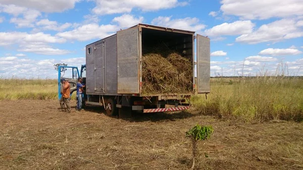 Homens são presos por extrair capim de área de proteção ambiental