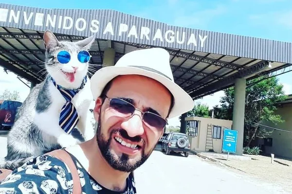 Conheça Bella Criatura, gato mochileiro que está bombando na web