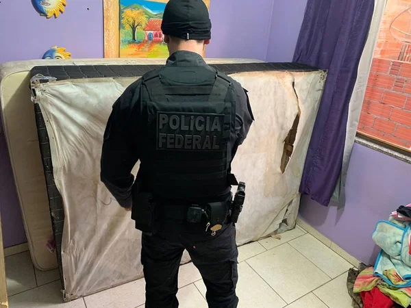 Polícia Federal desarticula núcleo de cadastro de organização criminosa