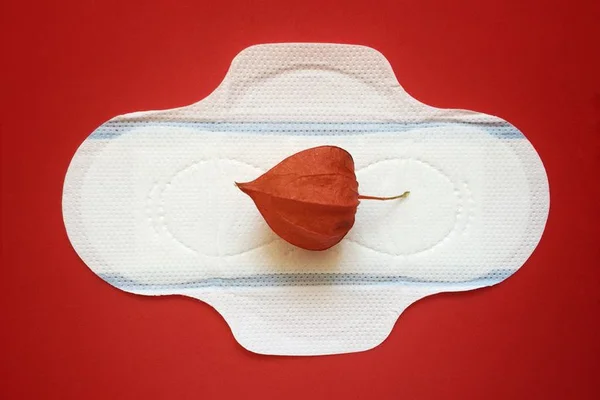 Caiado anuncia distribuição de absorventes para mulheres em GO
