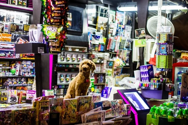 Mercado pet é o bicho cachorro
