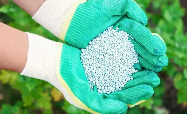 Brasil fortalece setor agrícola com importação de fertilizante cazaque - Metrópoles