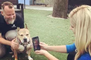 Sua dona conversando pelo Facetime com a cachorrinha Sua dona conversando pelo Facetime com a cachorrinha