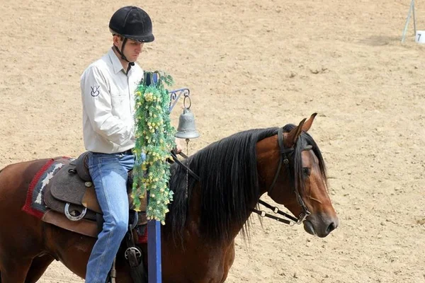 Granja do Torto recebe campeonato de equinos, shows e exposições