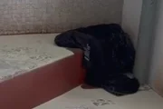 Roupa usada pelo homem que invadiu o prédio e fez a idosa refém Roupa usada pelo homem que invadiu o prédio e fez a idosa refém