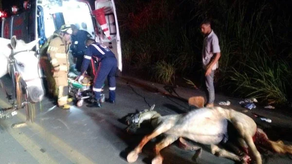 Motorista embriagado é preso após atropelar homens montados a cavalo