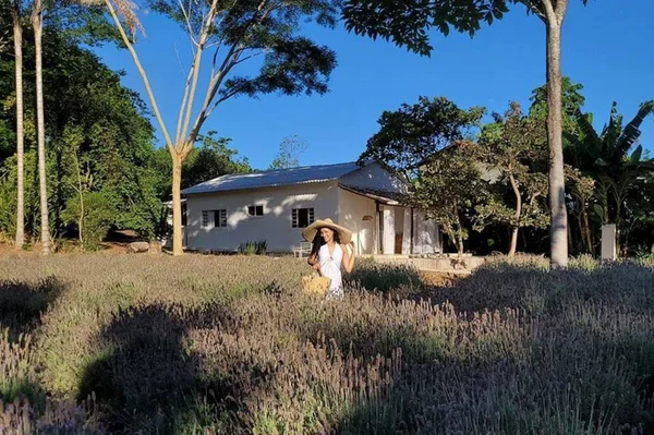 Com campo de lavandas, Alecrim Dreams é cenário com jeito de Provença