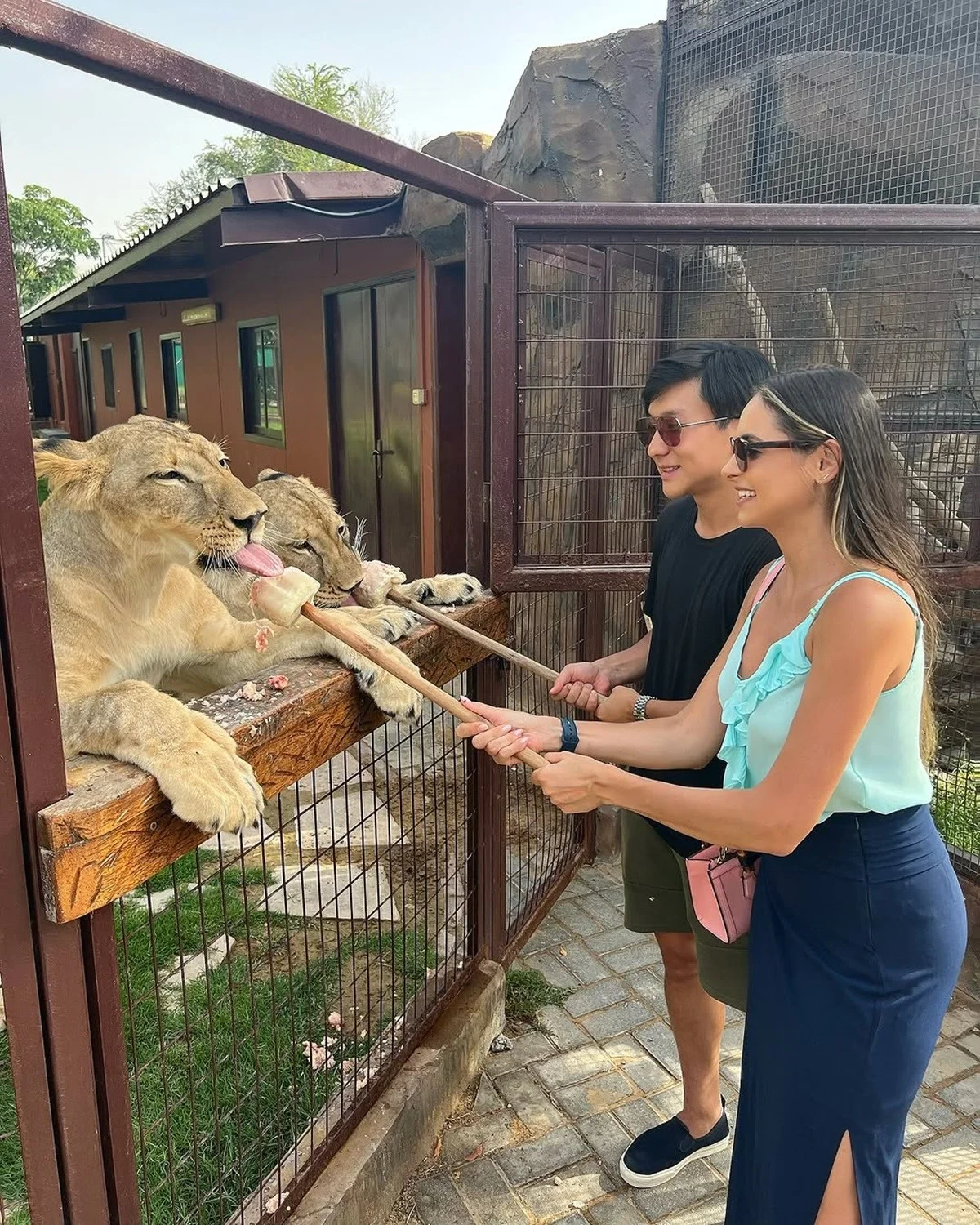Pyong Lee e a namorada, Natália Nasser alimentam os animais Pyong Lee e a namorada, Natália Nasser alimentam os animais
