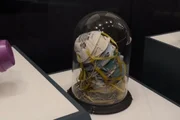 O espaço preserva a memória das quase 3 mil vítimas dos atentados terroristas que atingiram os Estados Unidos em 11 de setembro de 2001. O espaço preserva a memória das quase 3 mil vítimas dos atentados terroristas que atingiram os Estados Unidos em 11 de setembro de 2001.