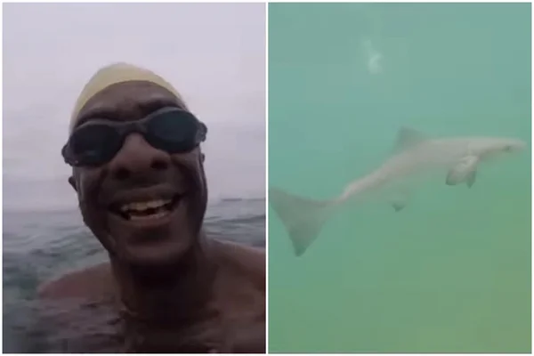 Helio de La Penã se assusta ao nadar com peixe parecido com tubarão