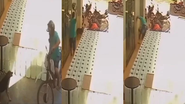 Vídeo: motociclista se irrita e quebra dentes de cadela com capacete