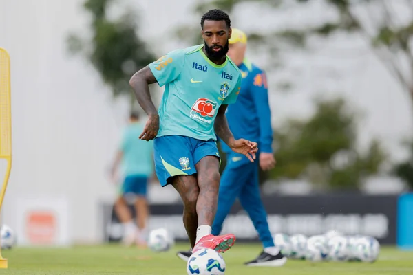 Foto colorida de Gerson, meia da Seleção - Metrópoles