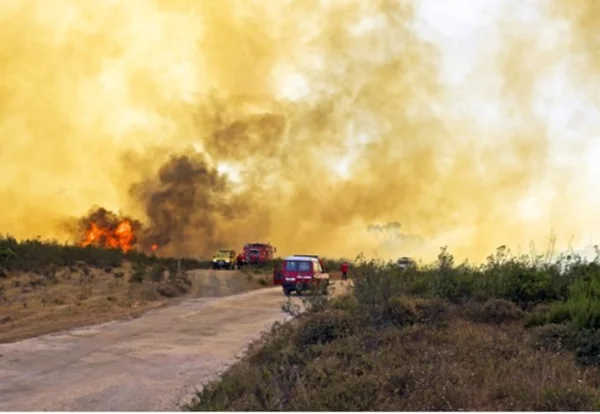 Incêndios florestais em Portugal