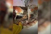 Equipes brasileiras atuam em buscas por vítimas do terremoto na Venezuela Equipes brasileiras atuam em buscas por vítimas do terremoto na Venezuela
