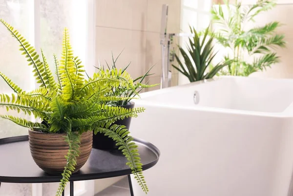 plantas no banheiro