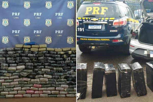 Maconha apreendida em Juiz de Fora e Paracatu