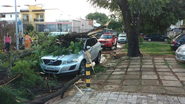 Após chuva forte e ventos, árvores caem na W3 Sul e atingem carro