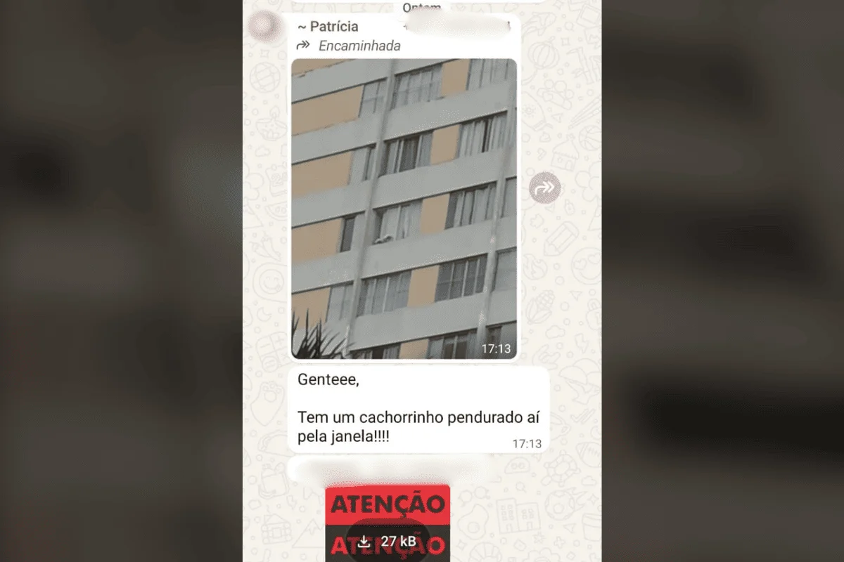 Cão morre ao cair do 13° andar de prédio e vizinhos denunciam tutora Cão morre ao cair do 13° andar de prédio e vizinhos denunciam tutora