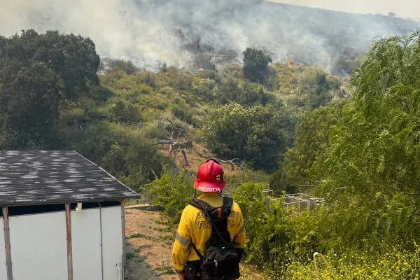 Bombeiro olha para foco de fogo em floresta
