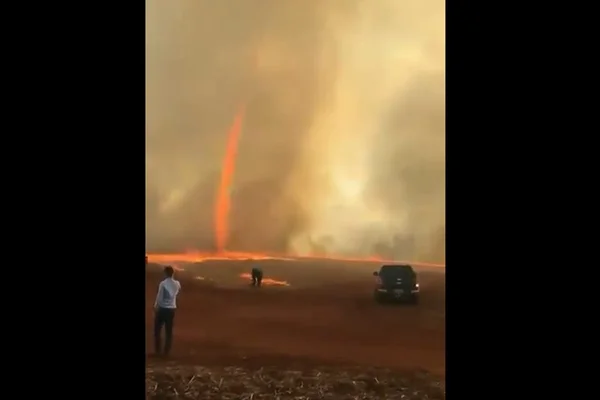 Vídeo: queimada em fazenda de Goiás faz surgir redemoinho de fogo