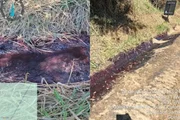 Captação de água no trecho do córrego foi interrompida Captação de água no trecho do córrego foi interrompida