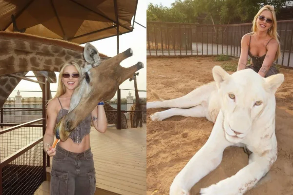 Fotos coloridas de Virginia fonseca ao lado de girafa e leoa