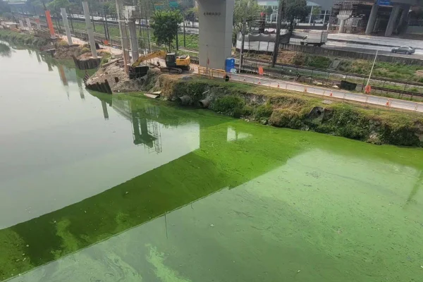 Governo de São Paulo apontou melhora na qualidade da água e suspendeu o bombeamento do Rio Pinheiros, que está verde desde 9 de setembro - Metrópoles