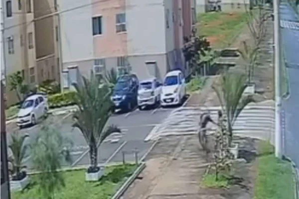 Bandido ataca mulher em bicicleta