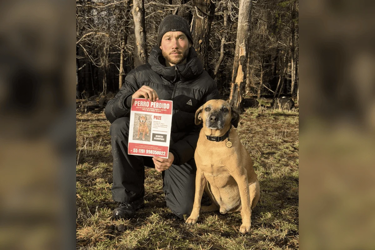 Buscas por cão poze ganham ímpeto em viagem daArgentina