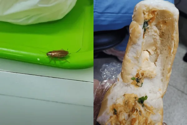 Imagem colorida de comidas estragadas e barata em hospital público de São Paulo - Metrópoles
