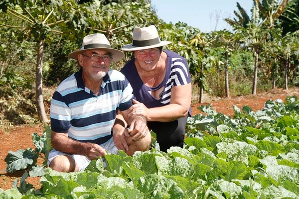 Produção de alimentos orgânicos no DF movimenta R$ 30 milhões por ano