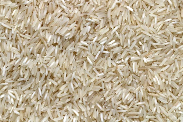 Imagem colorida de arroz - Metrópoles