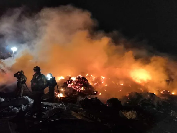 Incêndio destrói depósito de materiais recicláveis no DF. Veja fotos