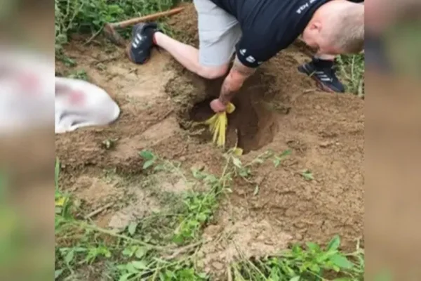 Cães foram encontrados enterrados em uma região próxima ao rio Benedito
