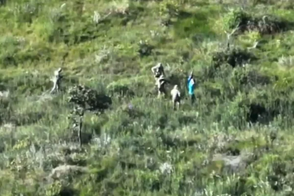 Foto colorida de cima de polícia ambiental rendendo suspeitos