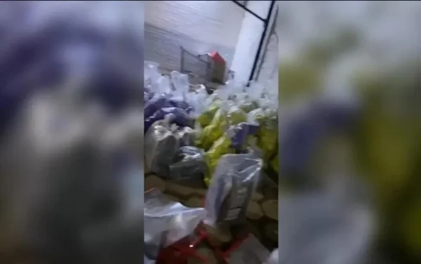 goias droga apreendida parede caminhao