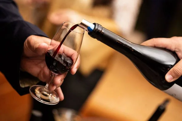Sommelière Bárbara Soares aponta tendência: “Fusão entre bebidas”