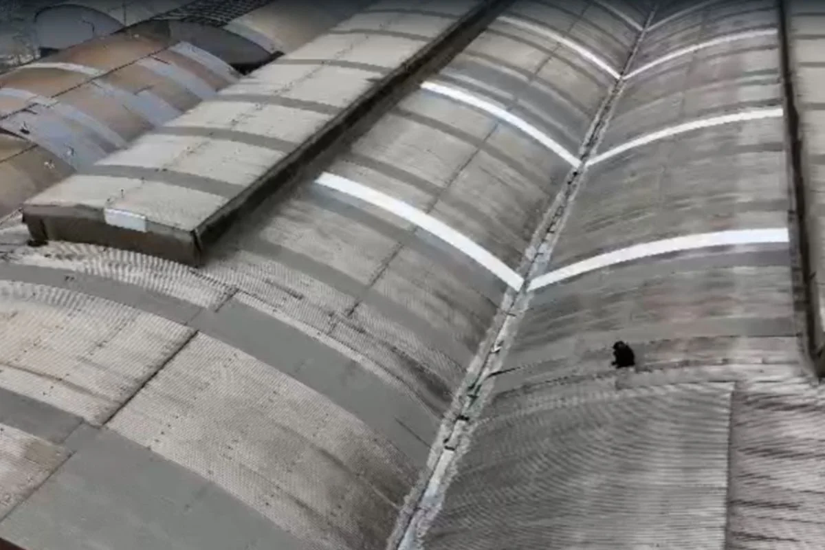 Ladrão tenta fuga no telhado após invadir Fábrica da Coca-Cola em Mogi