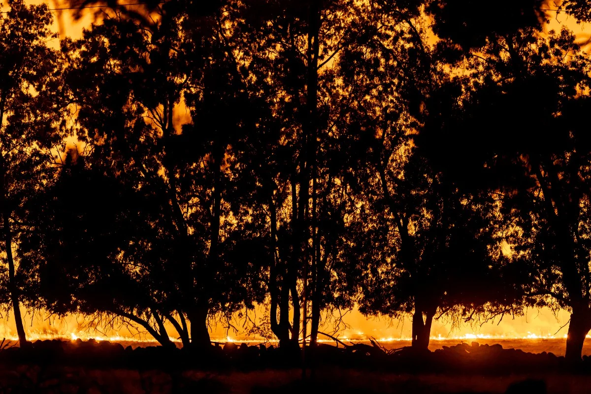 Nuvens de fogo e calor extremo: incêndios que castigam a Europa podem durar meses - imagem 3 Nuvens de fogo e calor extremo: incêndios que castigam a Europa podem durar meses - imagem 3