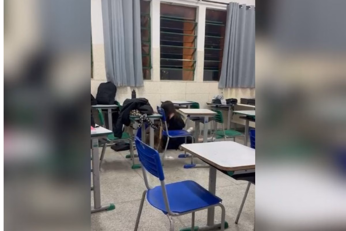 briga escola 1