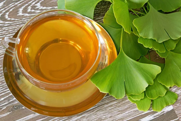 Foto colorida de xícara com chá e, ao lado, tem folhas de gingko biloba - Metrópoles